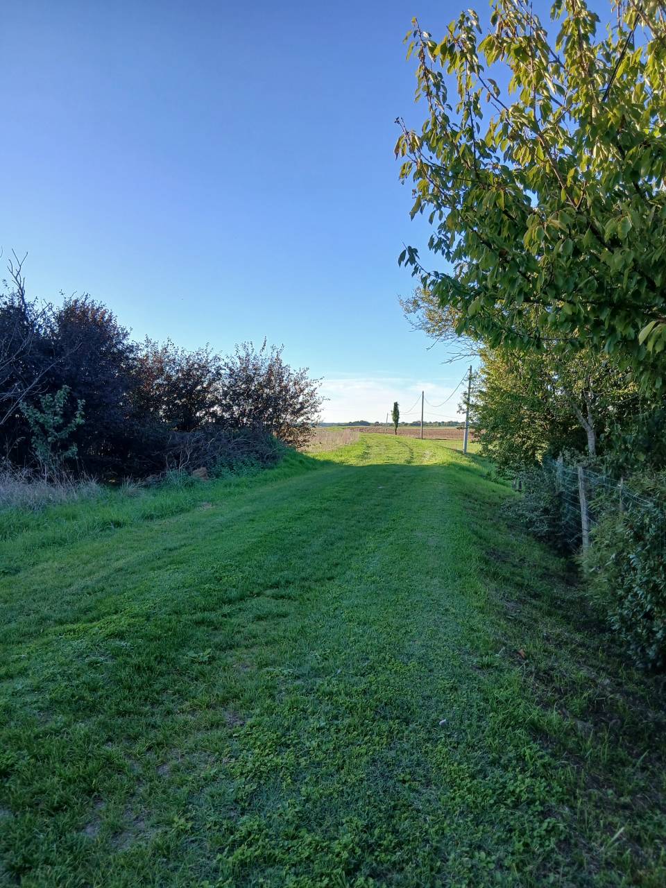 Pension pr&eacute;s &agrave; Saint-Sulpice-de-Royan 17200