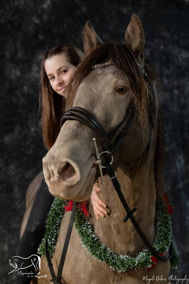 Gucci Blue, Etalon PRE x Quarter Champagne, 9 ans