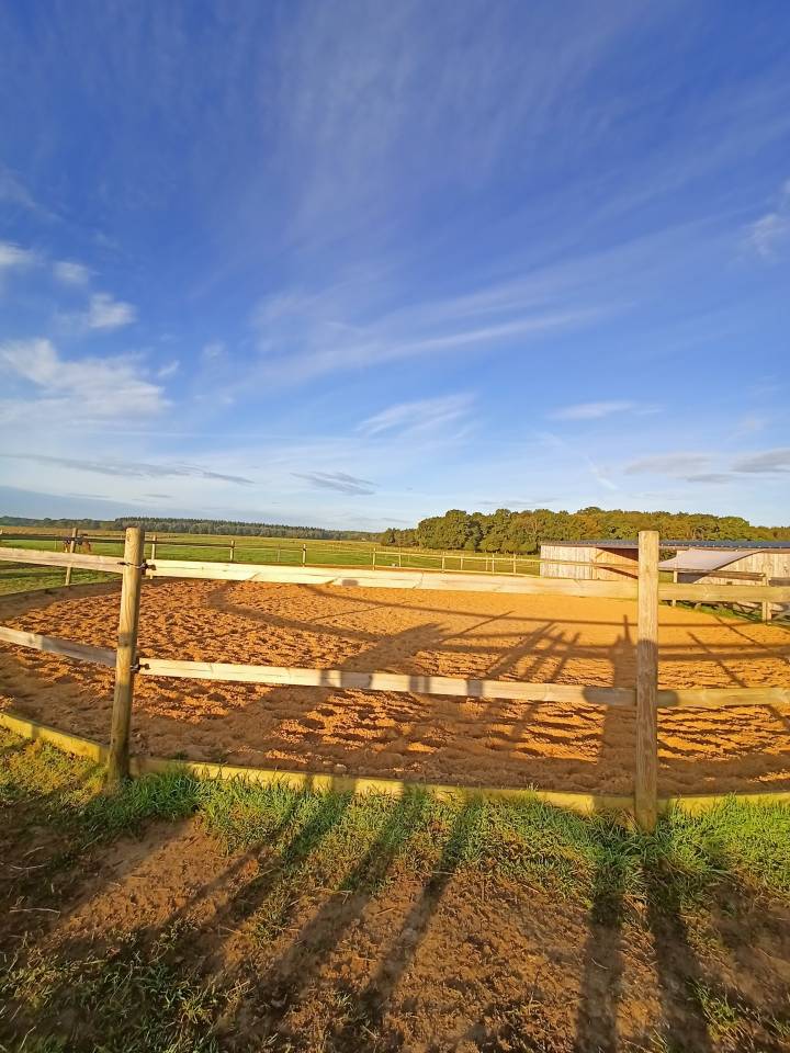 &Eacute;curie de propri&eacute;taire 