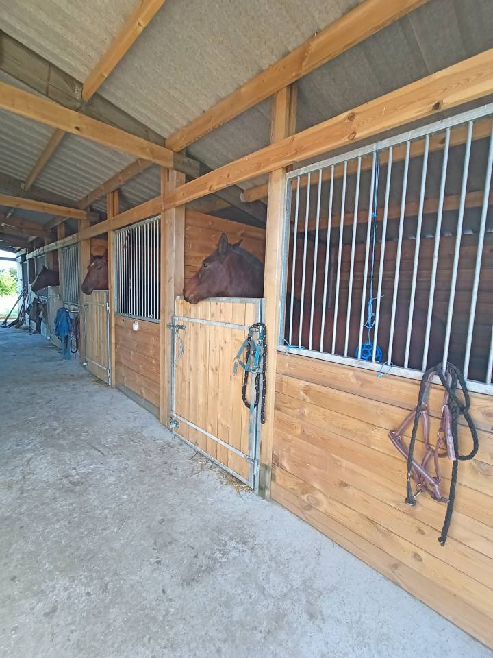 &Eacute;curie de propri&eacute;taire 