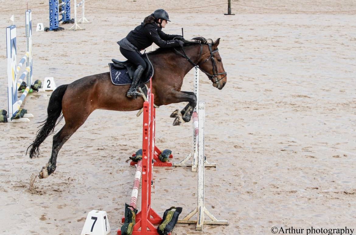 Jument de loisirs à vendre 