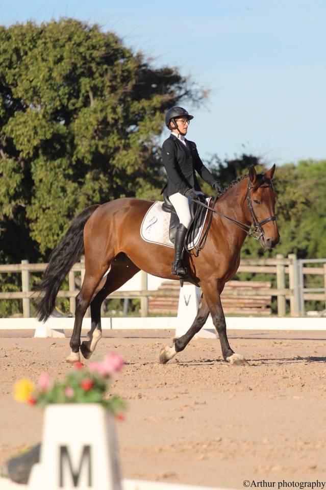 Jument de loisirs à vendre 