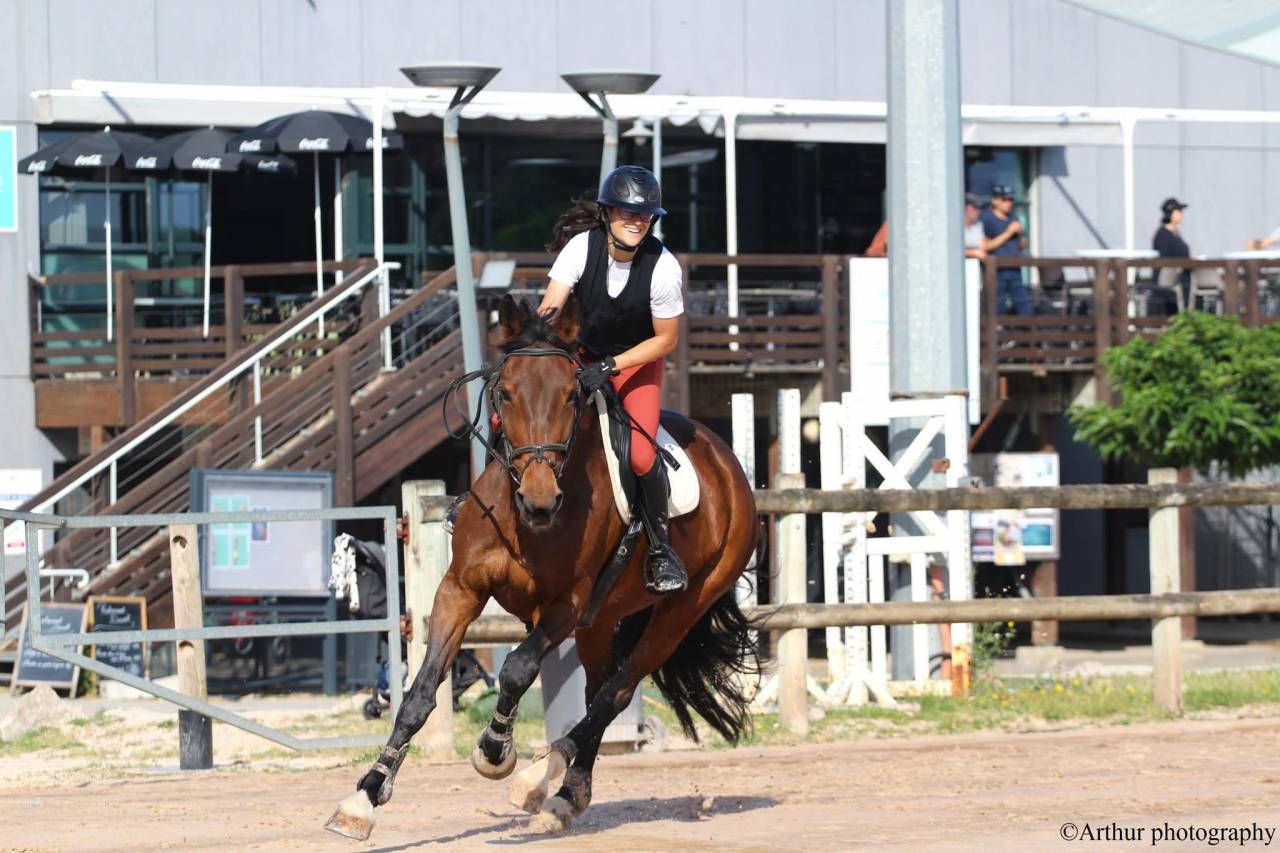 Jument de loisirs à vendre 