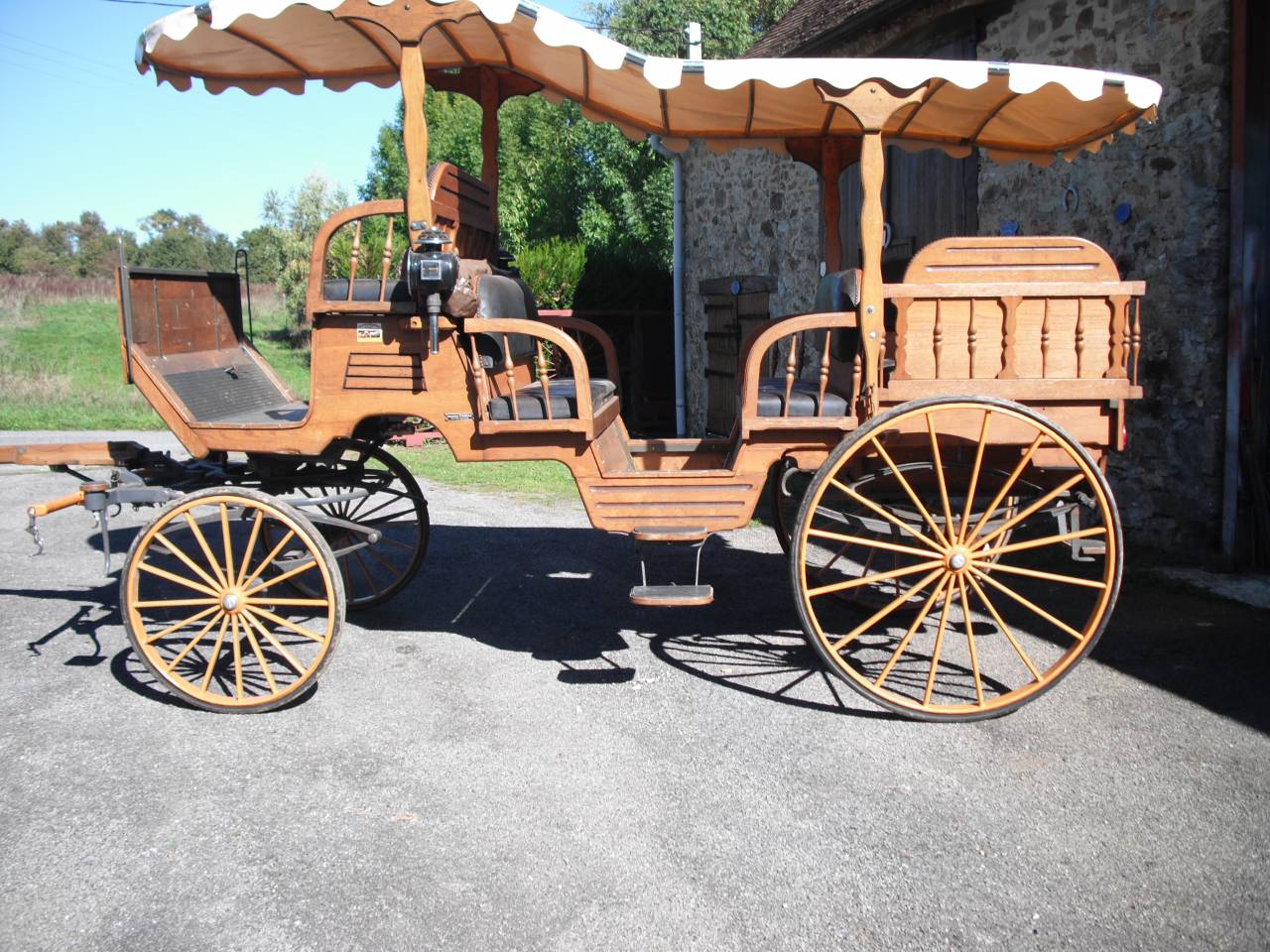 Chevaux Mérens et calèche