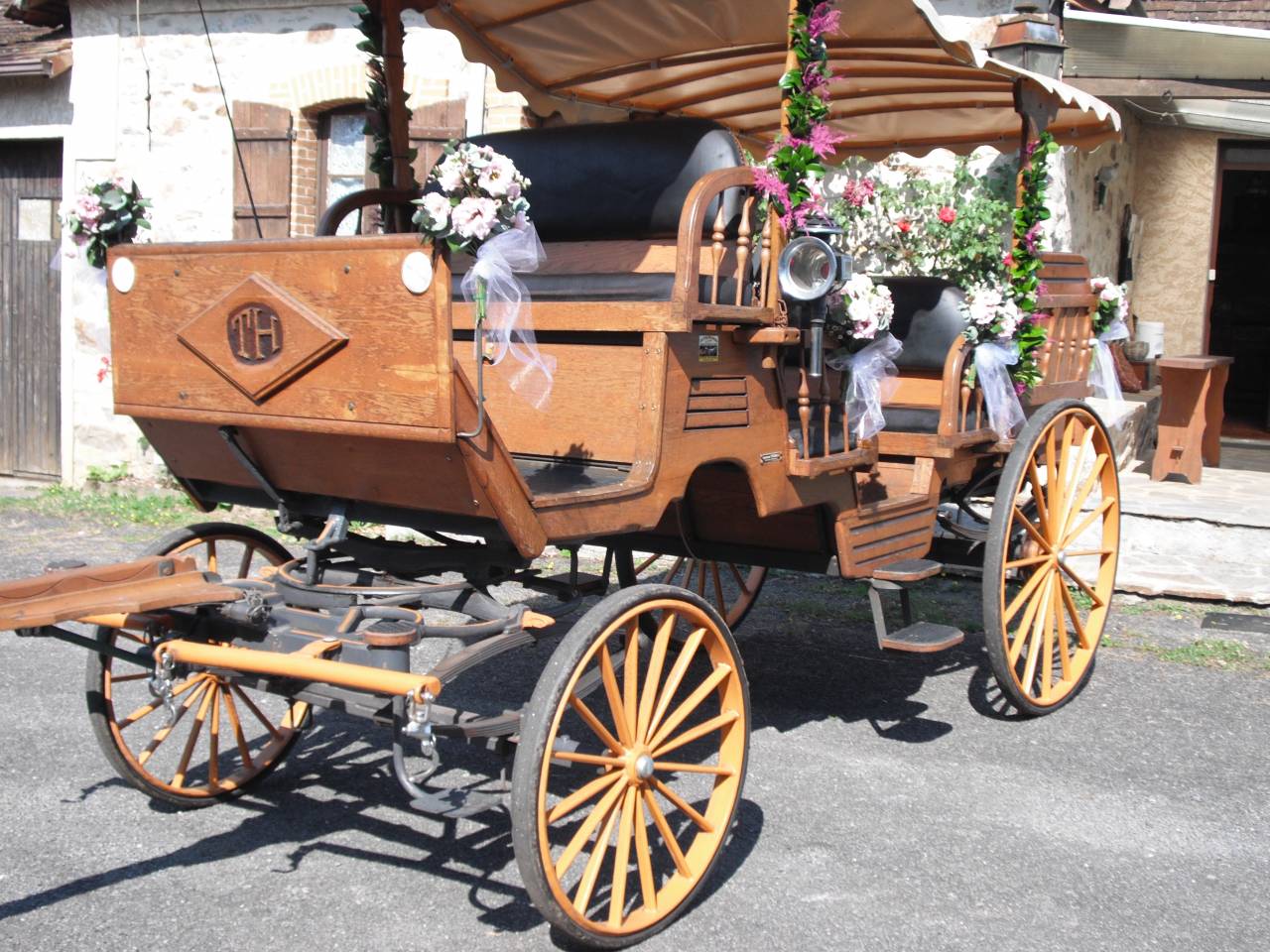 Chevaux Mérens et calèche