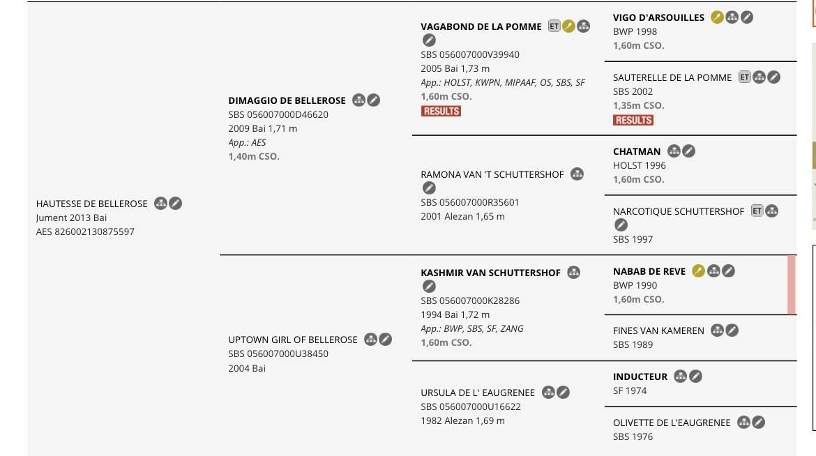 Juments idéal pour l’elevage!