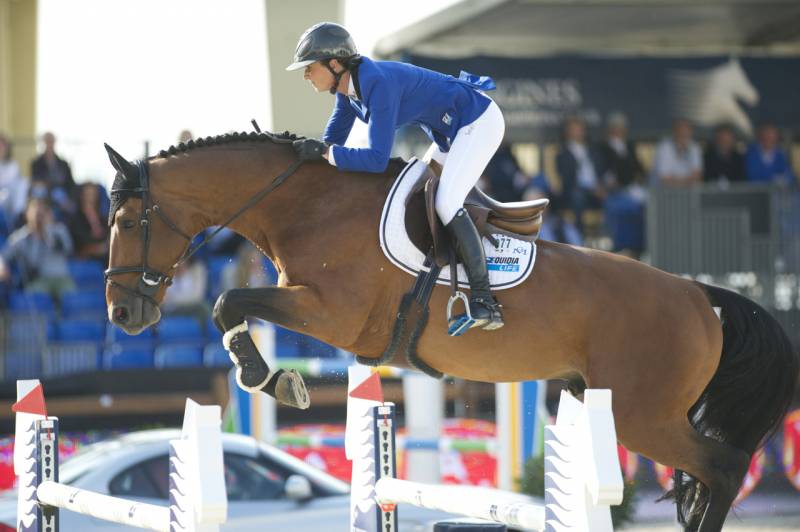 Juments idéal pour l’elevage!