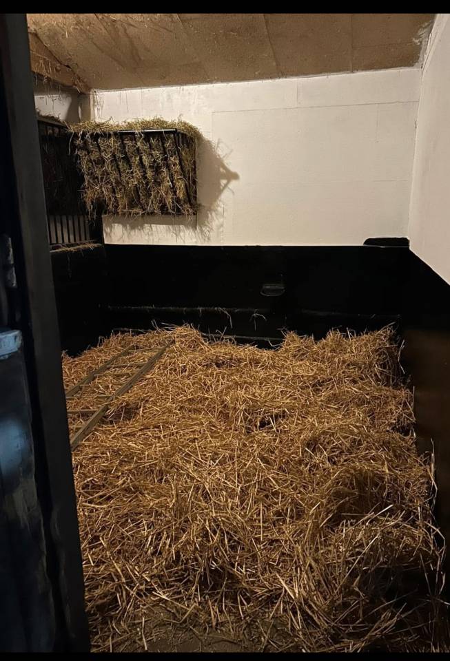 Pension Pr&eacute;s/Boxe - 27320 Nonancourt 