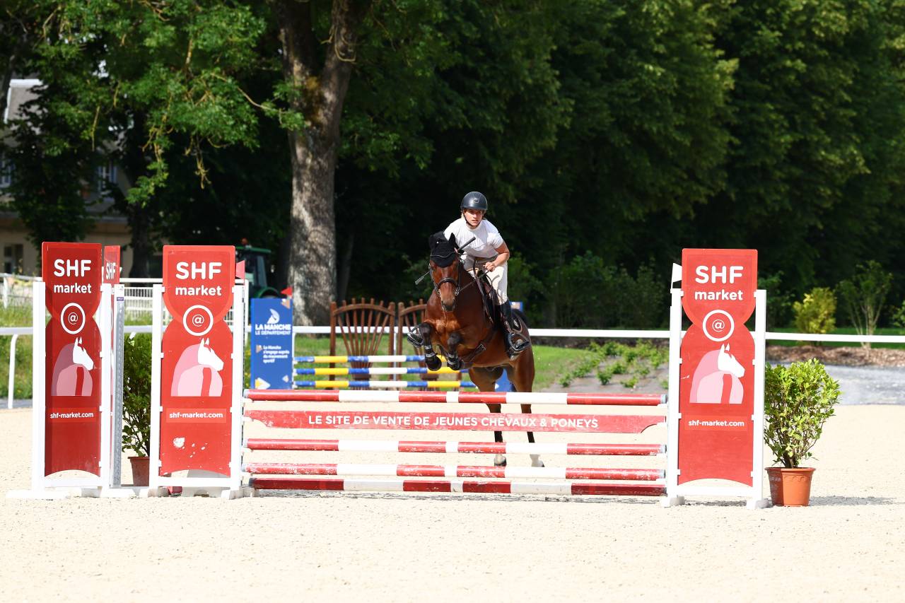 Poney par Safran Landai