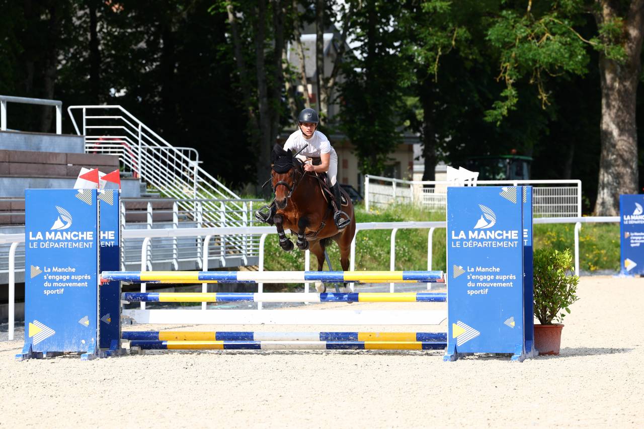 Poney par Safran Landai