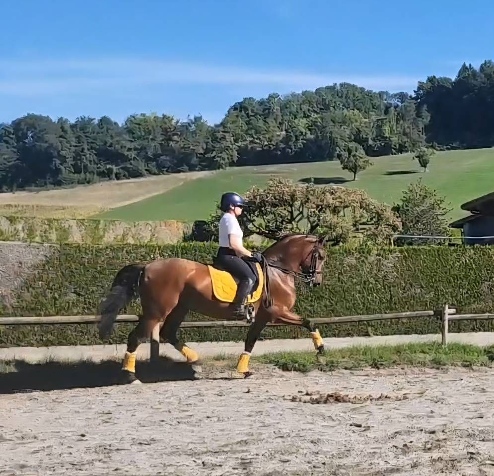 KENTADOR TD - PRE - 5 ans