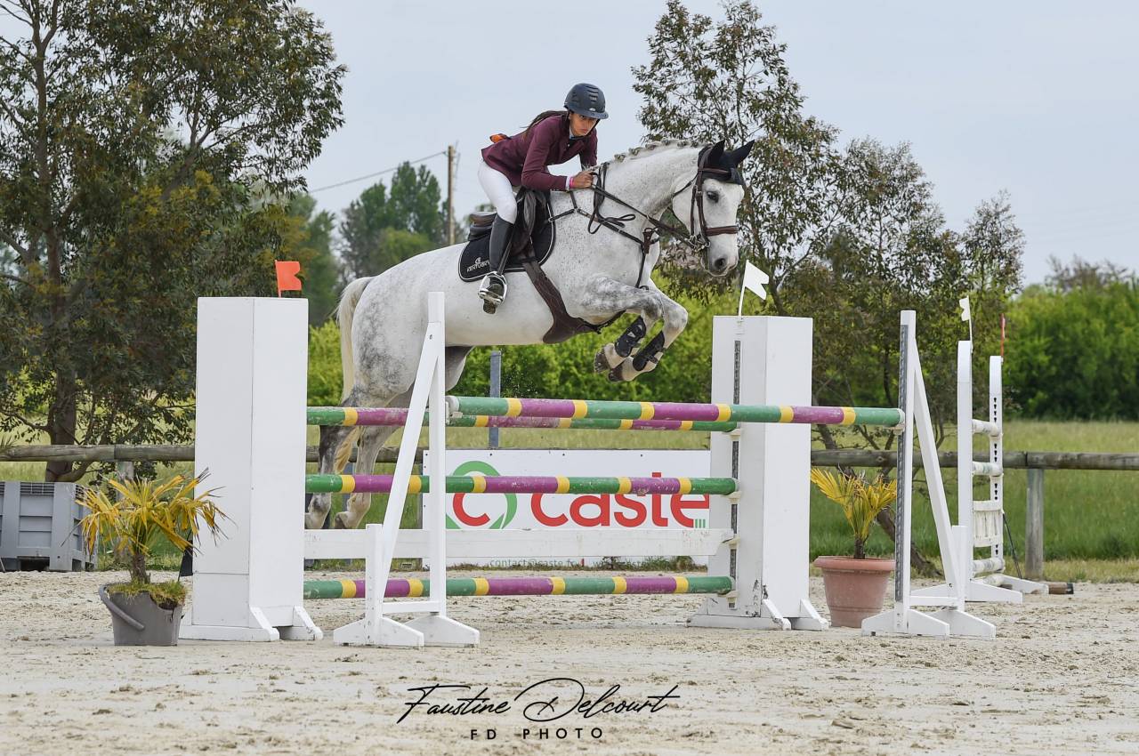 Jument sf pleine de blue tinka tilia 