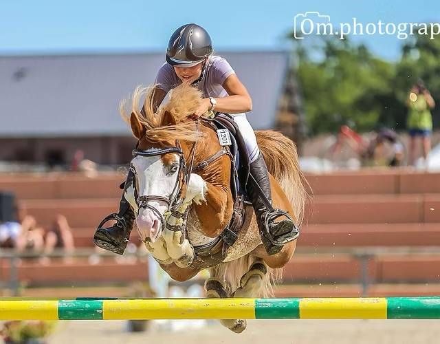 Jument sf pleine de blue tinka tilia 