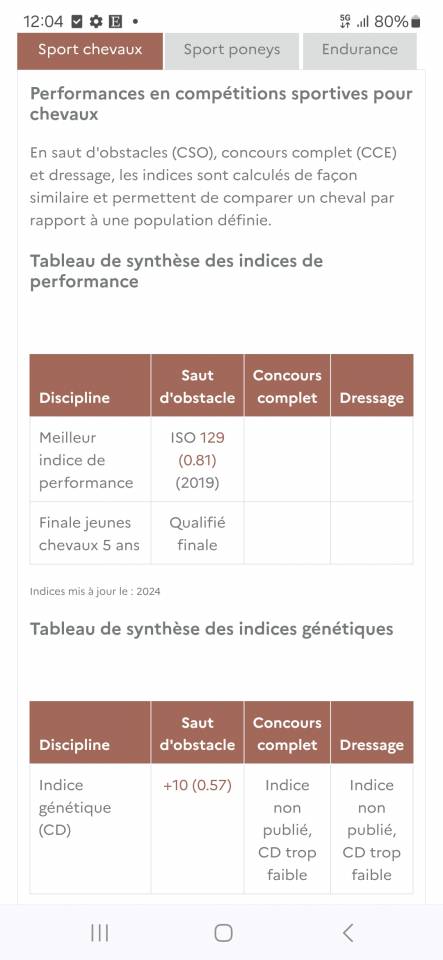 Vente poulinière KWPN 11 ans