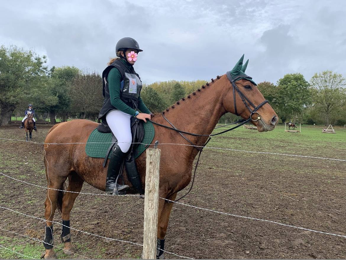 Pur sang hongre 15ans 