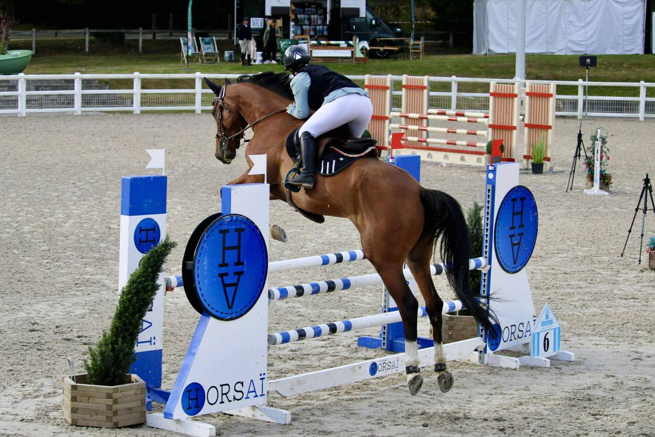 Cavaliere / monitrice / gardienne etc