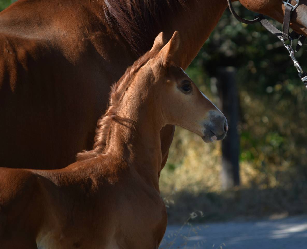 2ans avec un mental de guerrier