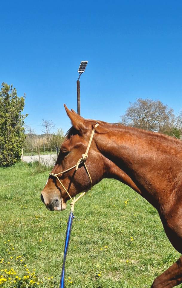 2ans avec un mental de guerrier