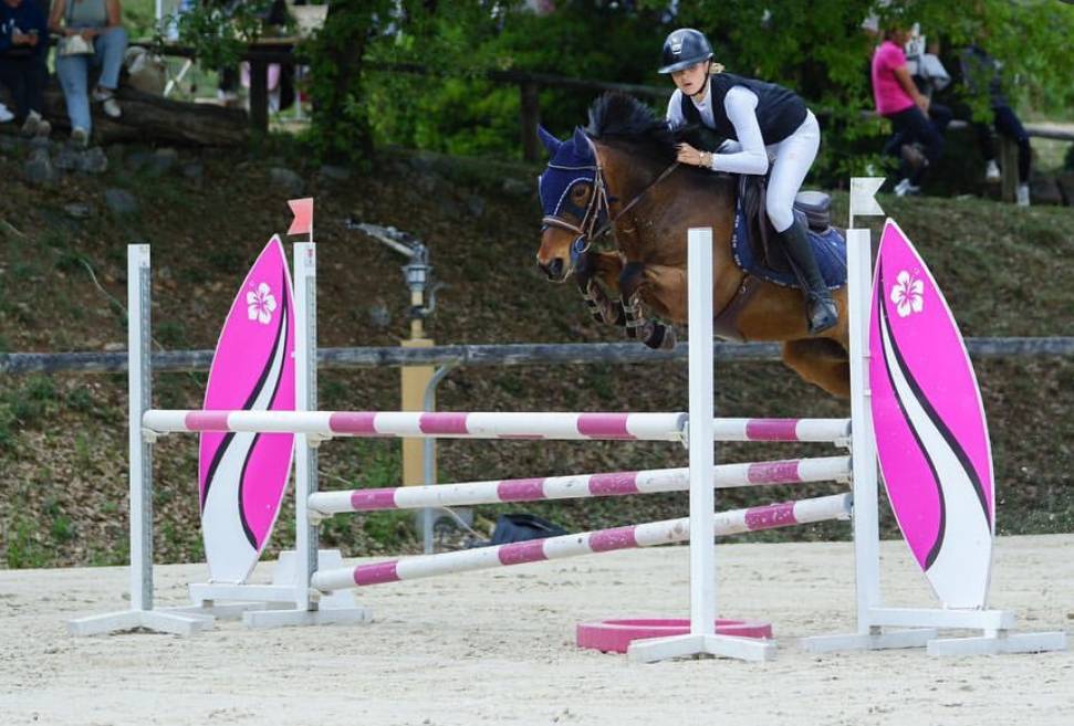 Poney à vendre ou à louer