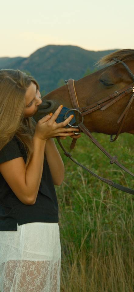 Poney à vendre ou à louer