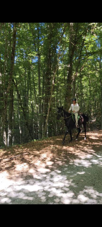 Layyk, Etalon Akhal Téké