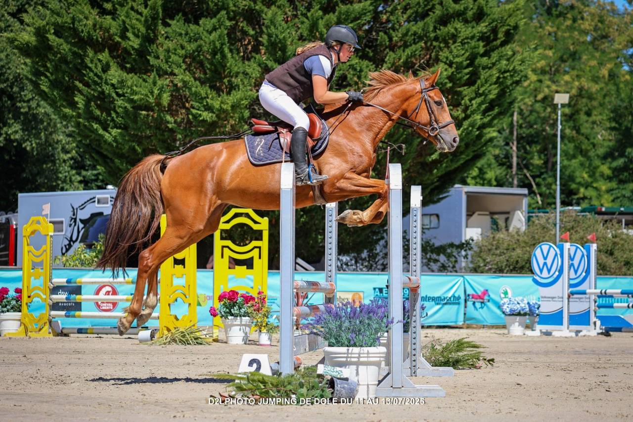 Jument de 4 ans qualifiée pour fontainebleau en cso