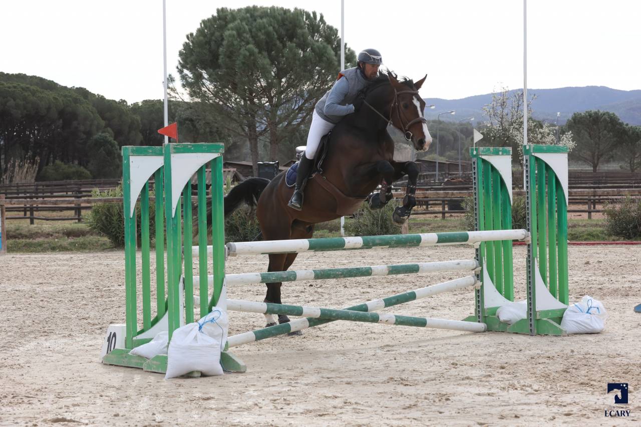 PALEFRENIER SOIGNEUR ECURIE PRIVEE