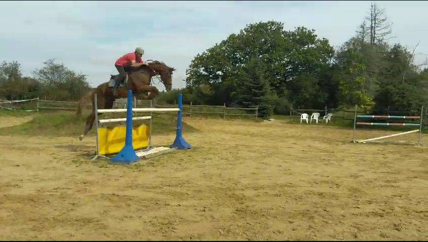 Pension chevaux - Écurie du lys - Belhomert Guéhouville