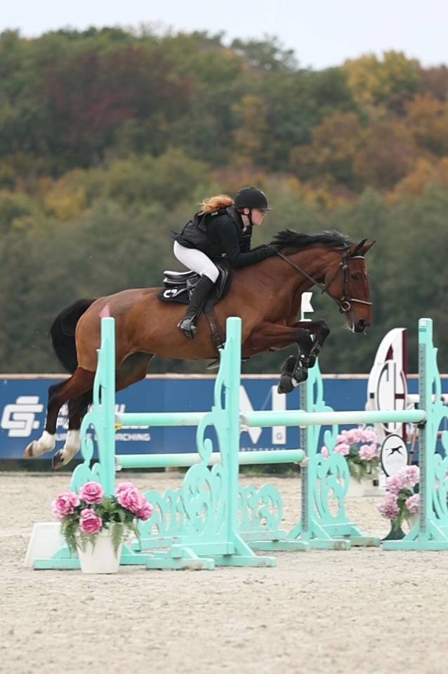 Jument grande qualité-Selle Français 6 ans 