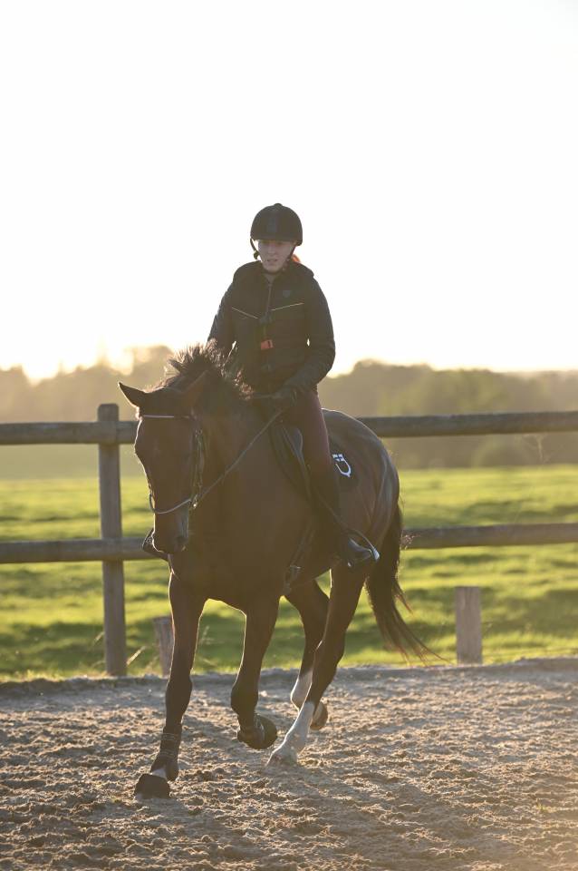 Jument grande qualité-Selle Français 6 ans 