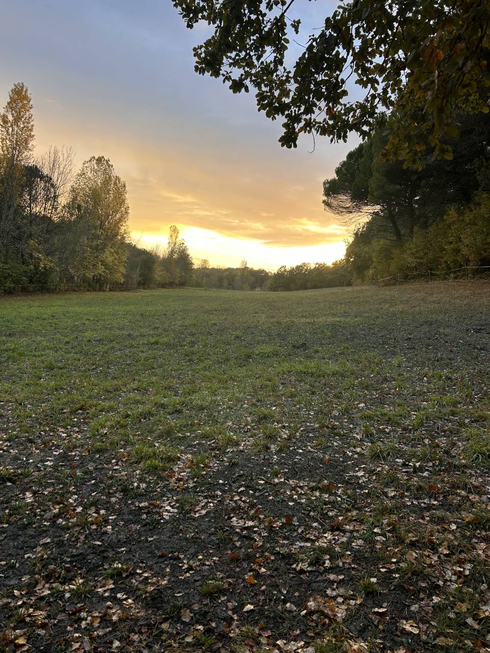 &Eacute;curie de la sanade