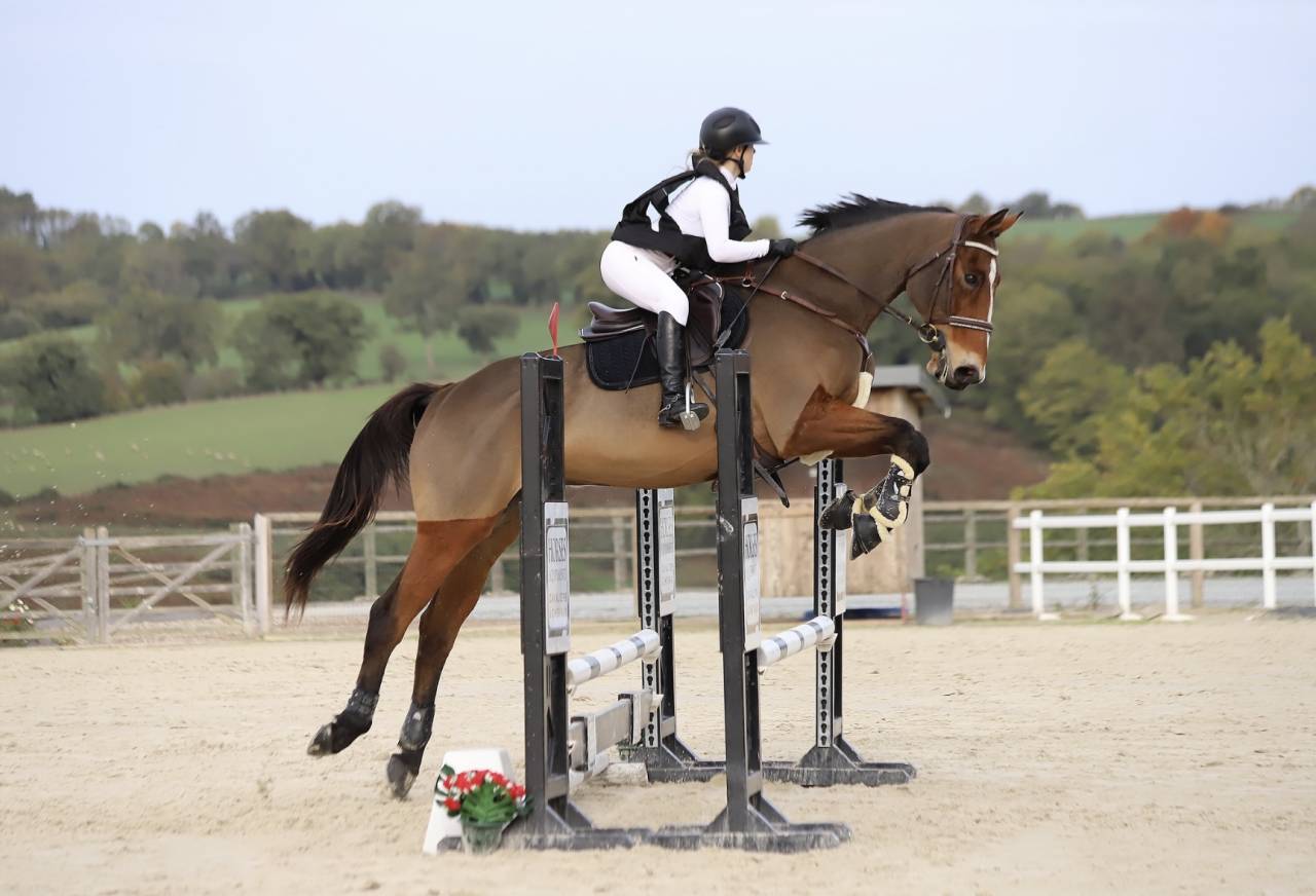 Cède maître d'école 