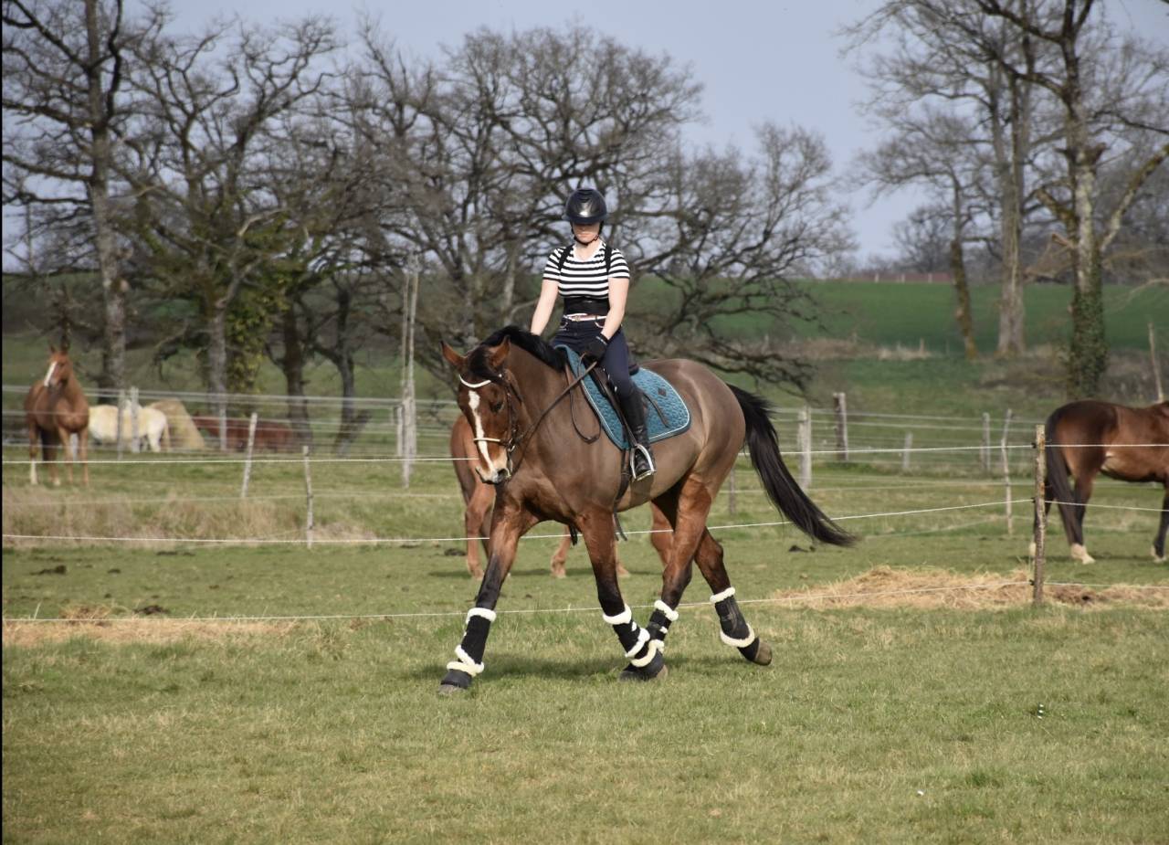 Cède maître d'école 