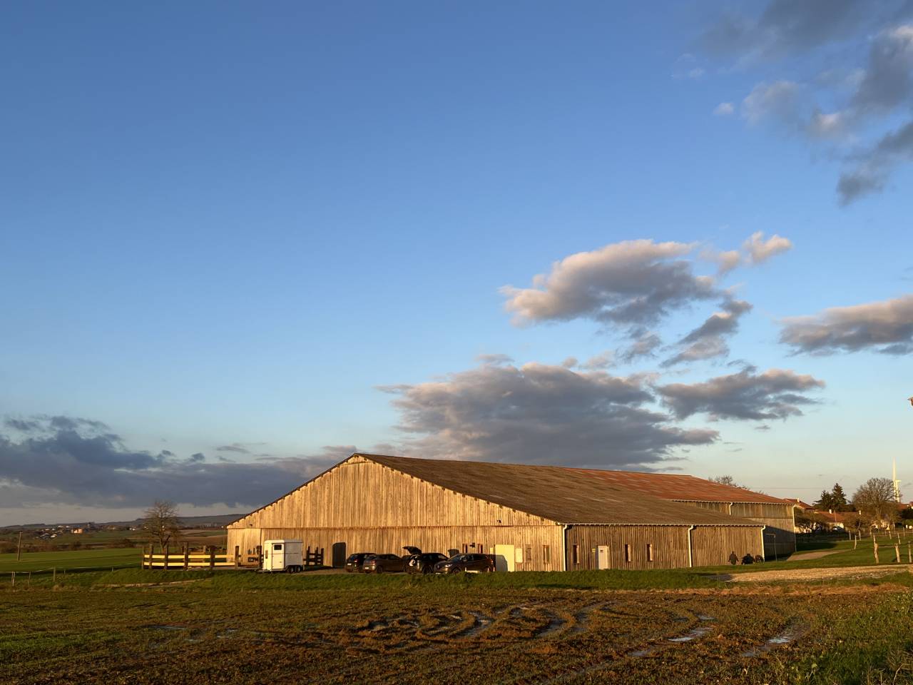 Pension chevaux dans écurie western et loisirs 