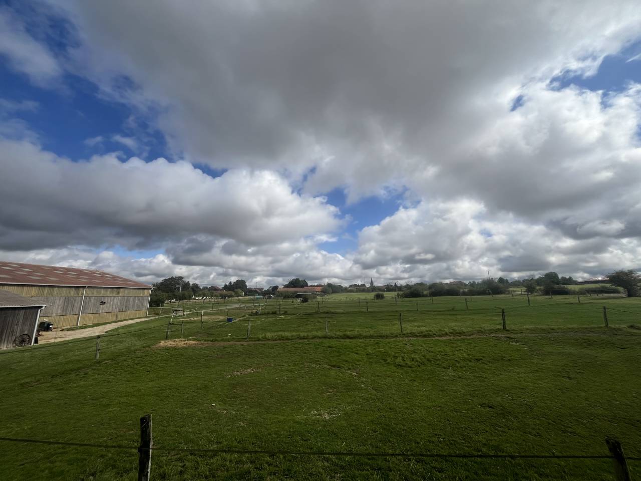 Pension chevaux dans écurie western et loisirs 
