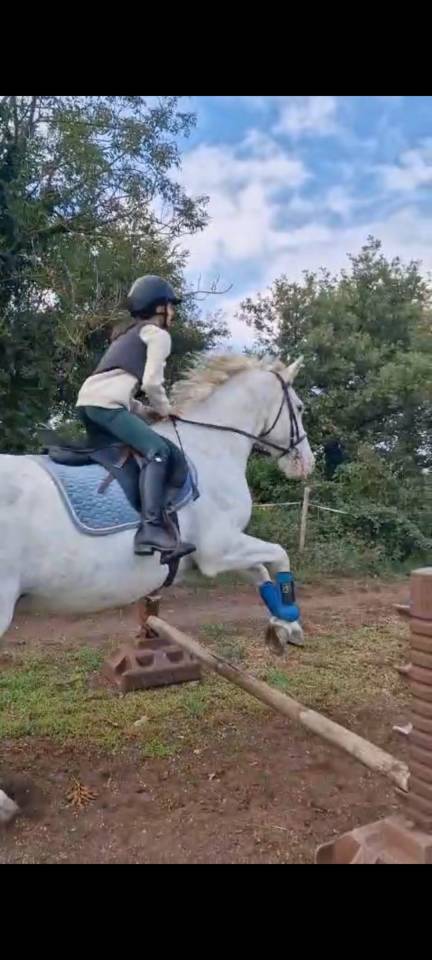 Recherche DP pour Ubeau