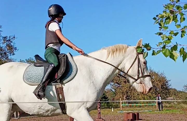 Recherche DP pour Ubeau