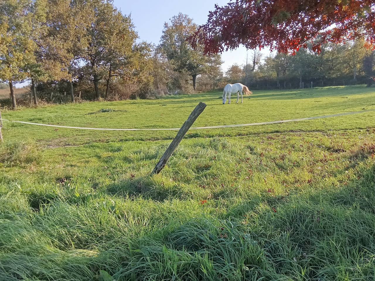 Recherche DP pour Ubeau