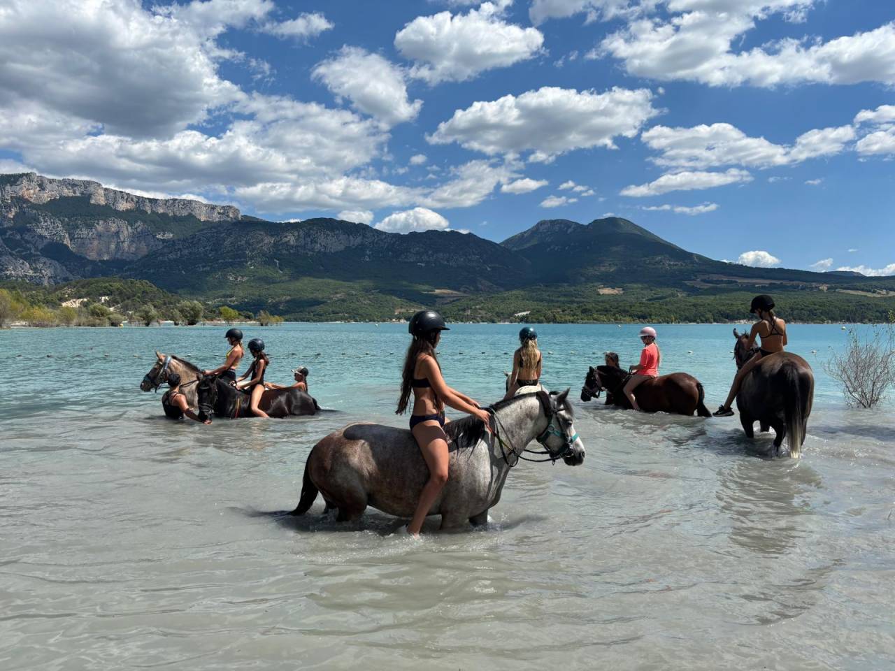 a vendre super poney OC 