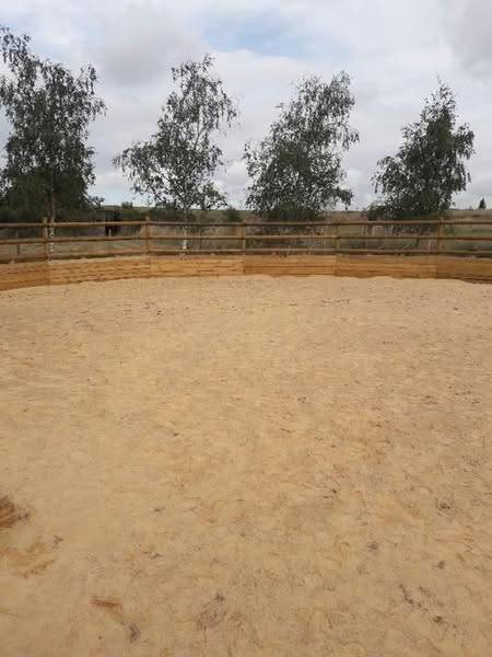 Pension chevaux à orientation éthologie