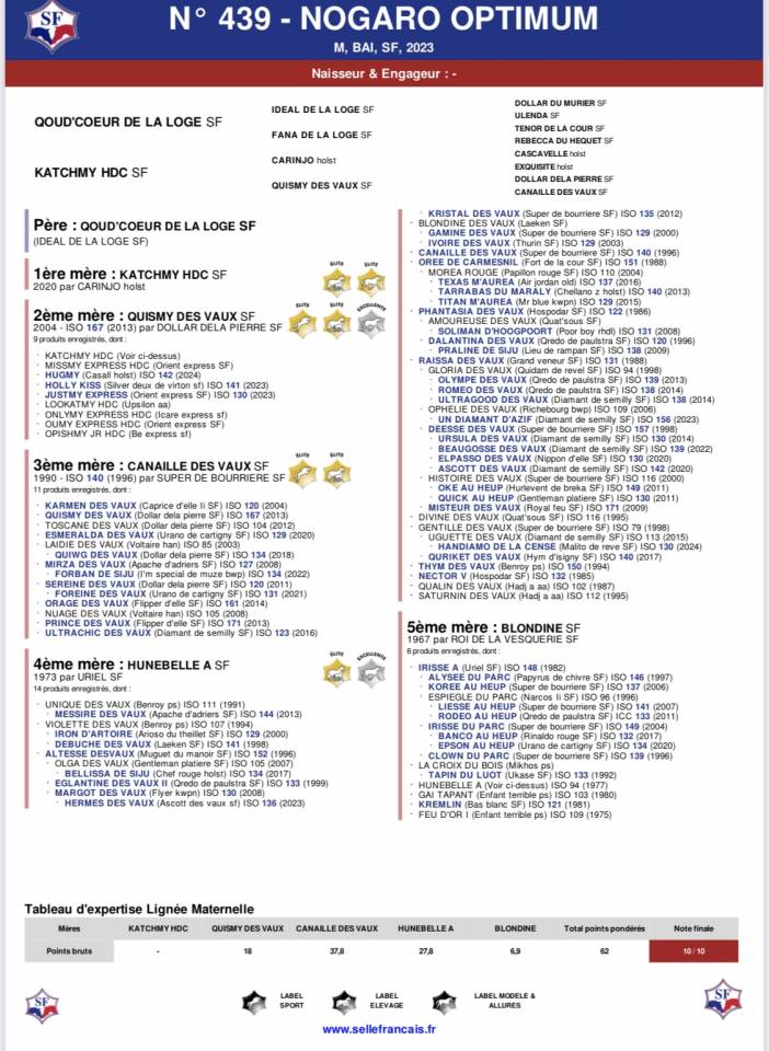 Male SF, lignée 10/10