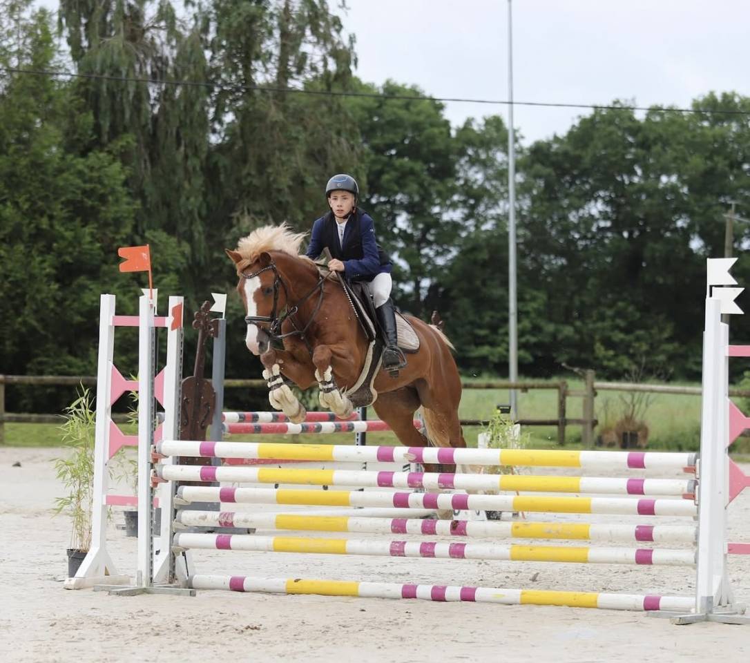Poney D sport 
