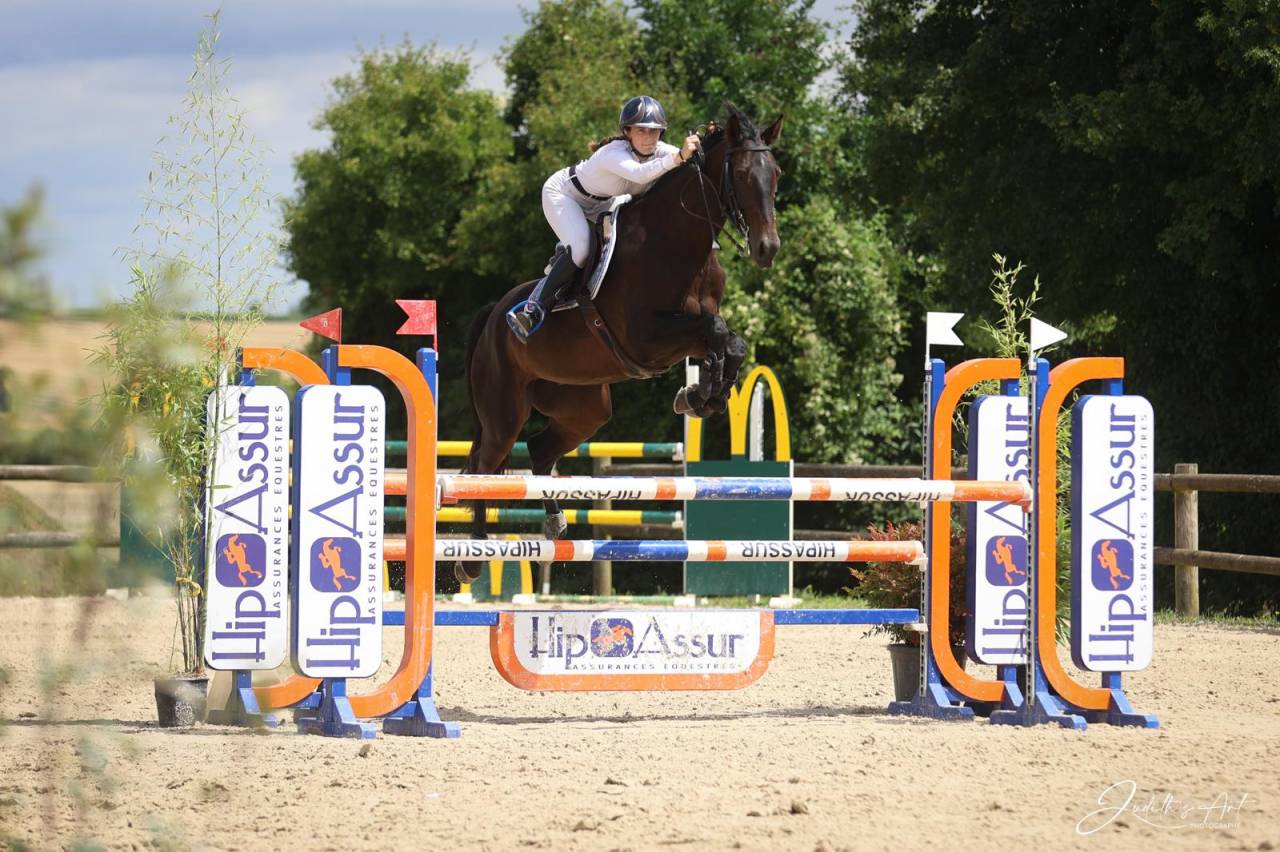 Hongre AA de 7ans pour CSO