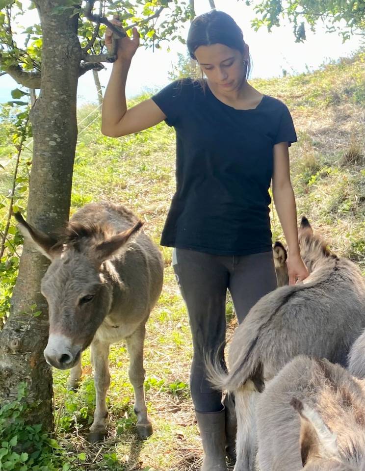 Anes SARDES et miniatures MEDIATION et compagnie