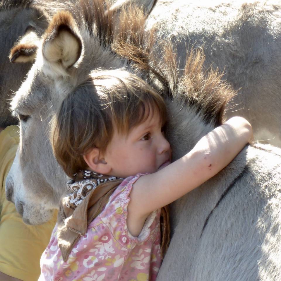 Anes SARDES et miniatures MEDIATION et compagnie