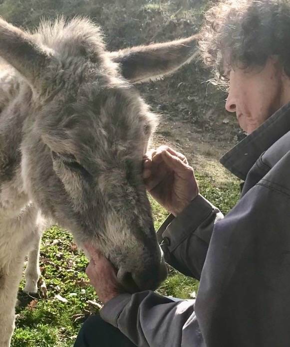 Anes SARDES et miniatures MEDIATION et compagnie