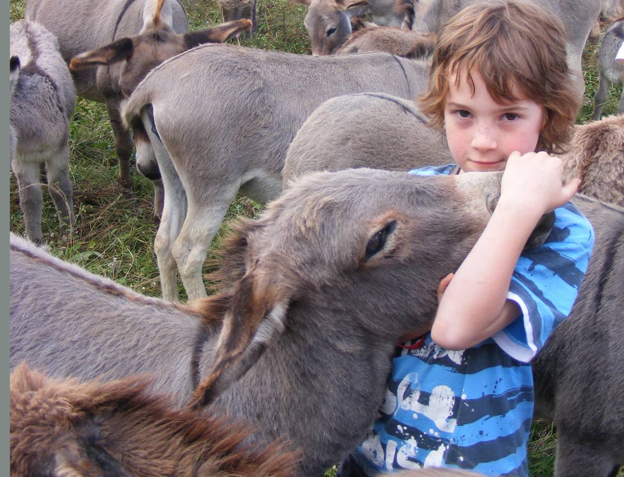 Anes SARDES et miniatures MEDIATION et compagnie