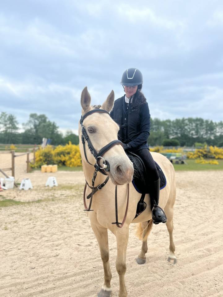 Demi-pension jument demi sang arabe