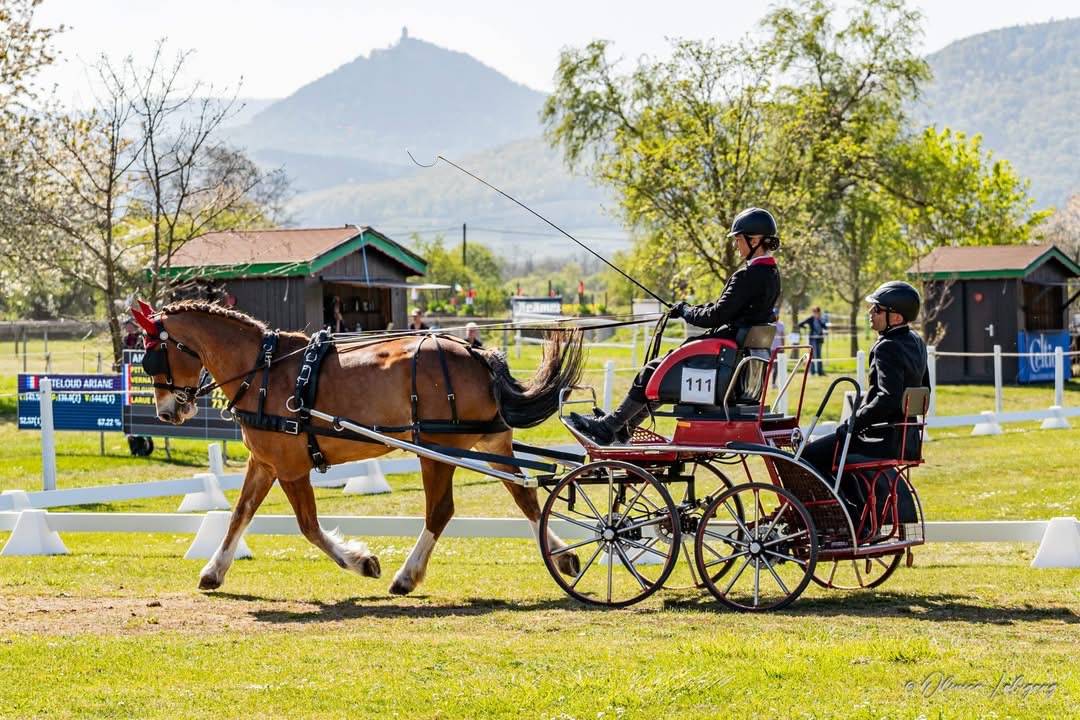 Canaille Doutrechaise – Franches-Montagnes