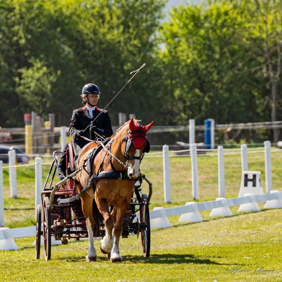 Canaille Doutrechaise – Franches-Montagnes